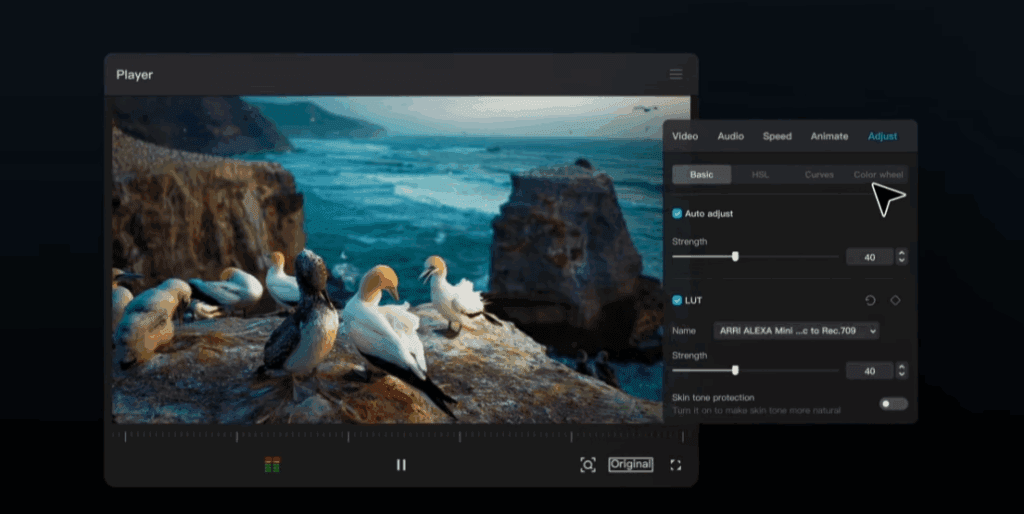 CapCut for desktop